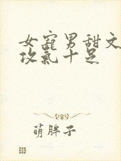 女宠男甜文女主攻气十足