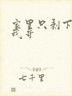 家里只剩下我和我哥