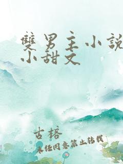 双男主小说推荐小甜文