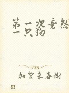 第一次竟然给了一只狗