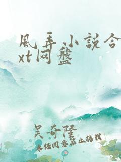 风弄小说合集txt网盘