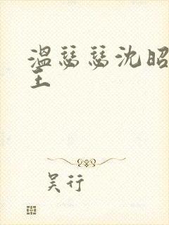 温瑟瑟沈昭摄政王