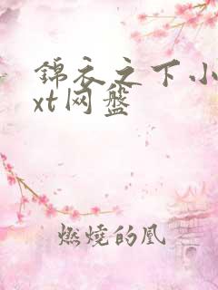 锦衣之下小说txt网盘