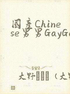 国产Chinese男男GayGayAPP