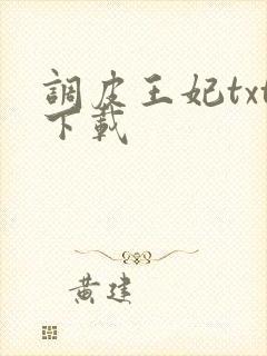调皮王妃txt下载