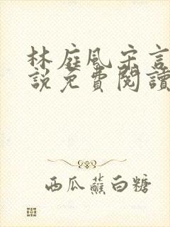 林庭风宋言汐小说免费阅读全文无弹窗