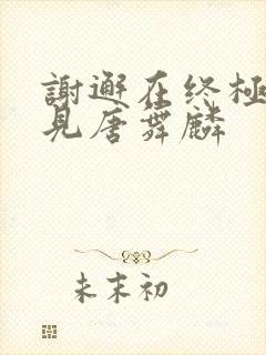 谢邂在终极斗罗见唐舞麟