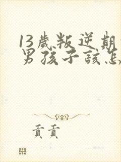 13岁叛逆期的男孩子该怎样去沟通教育