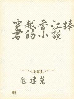 穿越香江捧邓丽君的小说