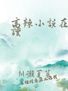 高辣小说在线阅读