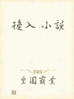 后入 小说