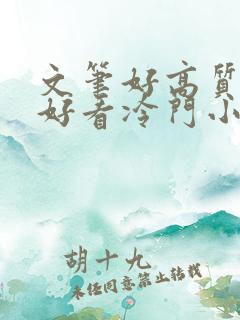 文笔好高质量超好看冷门小说