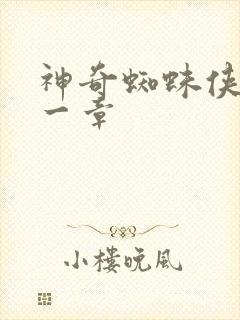 神奇蜘蛛侠第十一章