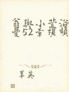 翁与小莹浴室欢爱52章视频