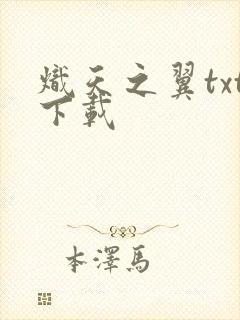 炽天之翼txt下载