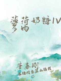 薄荷奶糖1V2多肉