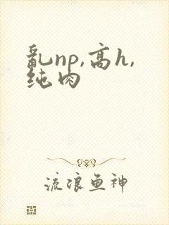 乱np,高h,纯肉