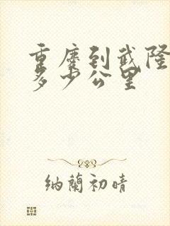 重庆到武隆景区多少公里