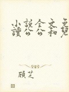 小说全文免费阅读公公和儿媳