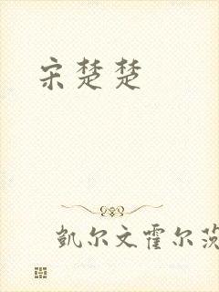 宋楚楚