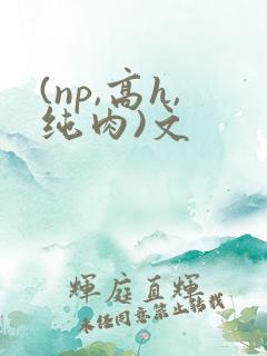 (np,高h,纯肉)文