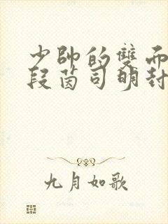 少帅的双面宠妻段茵司明封免费