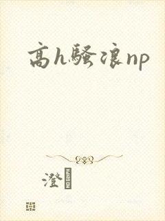 高h骚浪np
