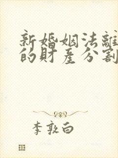 新婚姻法离婚后的财产分割