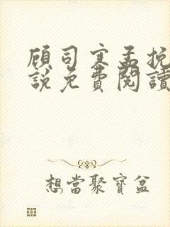 顾司寒孟挽意小说免费阅读最新章节