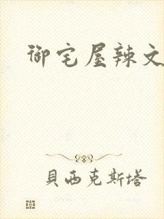 御宅屋辣文合集