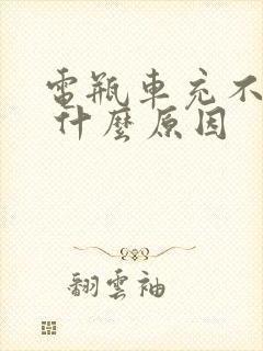 电瓶车充不上电 什么原因