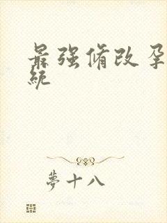 最强修改孕妇系统