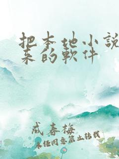 把本地小说读出来的软件