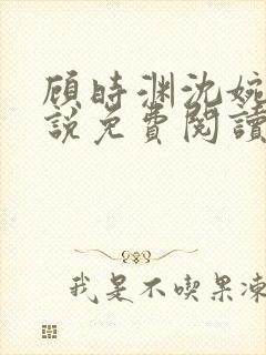 顾时渊沈婉婷小说免费阅读最新章节