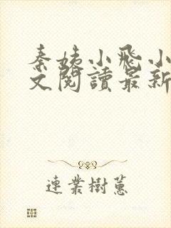 秦姨小飞小说全文阅读最新章节