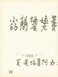 小说梅姨是小妈的闺蜜免费阅读