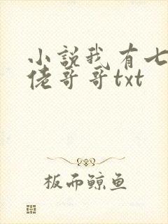 小说我有七个大佬哥哥txt