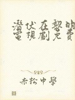 潜伏在黎明之前电视剧免费看