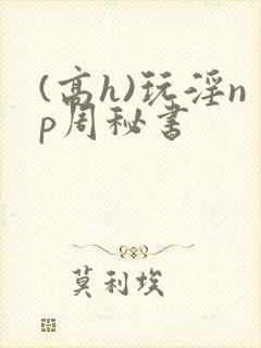 (高h)玩淫np周秘书
