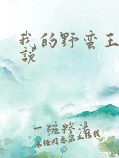 我的野蛮王妃小说