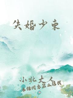 失婚少东