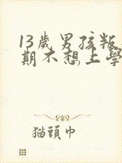 13岁男孩叛逆期不想上学怎么办