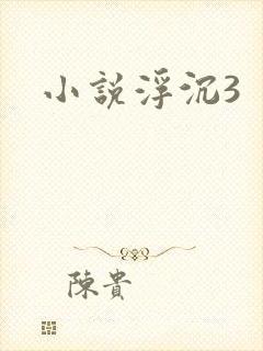 小说浮沉3