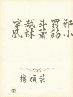 穿越斗罗邪火凤凰林萧的小说