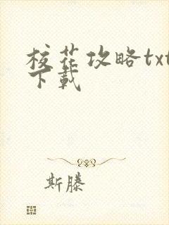 校花攻略txt下载