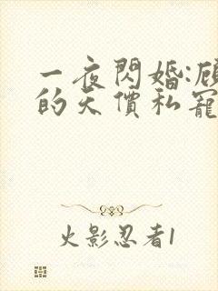 一夜闪婚:顾少的天价私宠