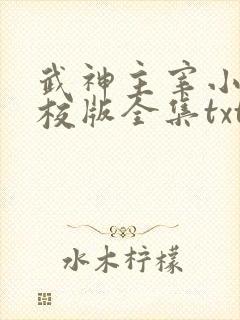 武神主宰小说精校版全集txt