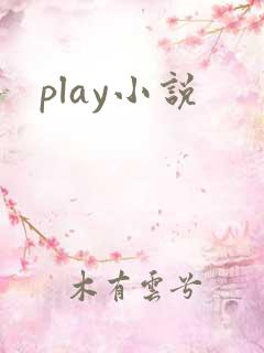 play小说