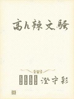 高h辣文骚