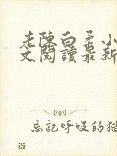 老陈白柔小说全文阅读最新章节内容